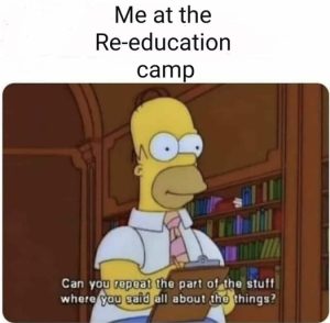 Stupid Bar Memes adb871123863a8d2