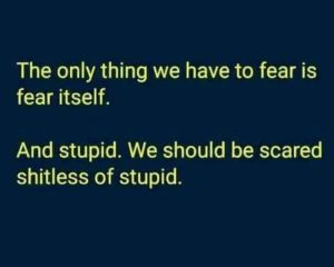 Stupid Bar Memes ae1a429f976b4ce0