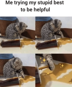Stupid Bar Memes aff93879f23f3eb9