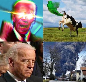 Stupid Bar Memes avQQ49Os700b