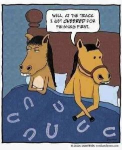 Stupid Bar Memes b144d61886fe0fc9