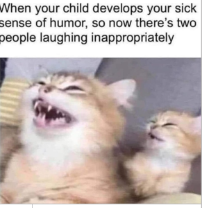 Stupid Bar Memes b746738ca8378c66