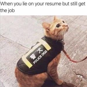 Stupid Bar Memes b7648b9384951643