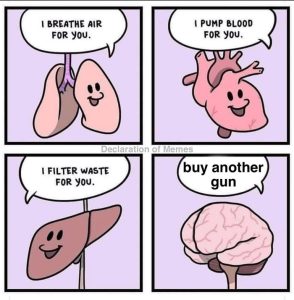 Stupid Bar Memes b7aa6e264e981710