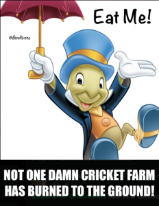 Stupid Bar Memes c88b9657abb34942