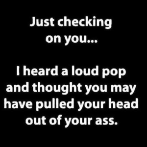 Stupid Bar Memes c9548e80c8e4667b