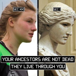 Stupid Bar Memes d2377b7433d77ab3