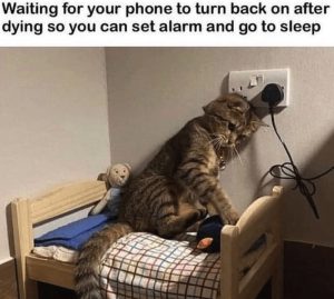 Stupid Bar Memes d41890400f67f884