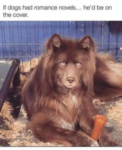 Stupid Bar Memes e630f6ca4d466177