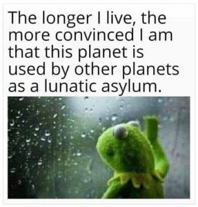 Stupid Bar Memes e6ac0d2893b4014d