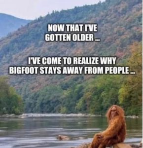 Stupid Bar Memes e8d4213bcb097187