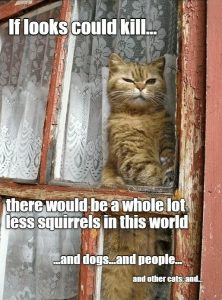 Stupid Bar Memes ef0536ce7b9fc11b