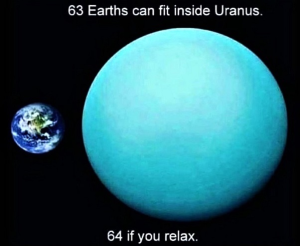 Stupid Bar Memes f0a312371c9796e1
