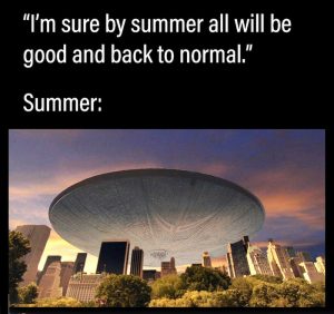 Stupid Bar Memes f1d84b8644b8d137