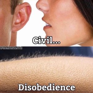 Stupid Bar Memes f390977f485107b9