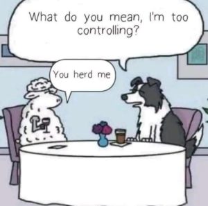 Stupid Bar Memes fb5fd2eb8e21289e