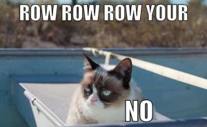 Stupid Bar Memes grumpyscatsboat
