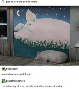 Stupid Bar Memes jiSnhXK