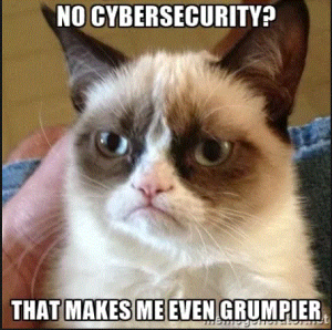 Stupid Bar Memes no cybersecurity image