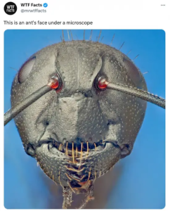 Stupid Bar Memes wtfsfactss18