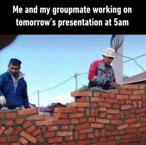 Stupid Bar Memes zssss173s1