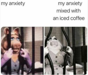 Stupid Bar Memes zssss184s1