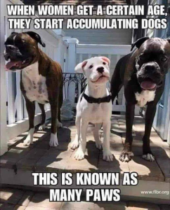 Stupid Bar Memes 0208900d14ed07dc