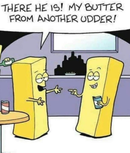 Stupid Bar Memes 02201ad66b93252e