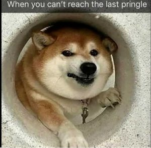 Stupid Bar Memes 088896f1907f7de9