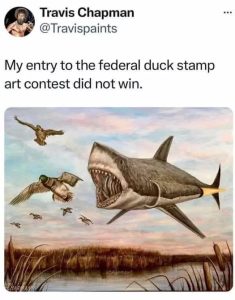 Stupid Bar Memes 09f2842d416458ef