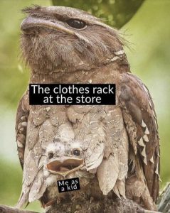 Stupid Bar Memes 102c06c1857b6305