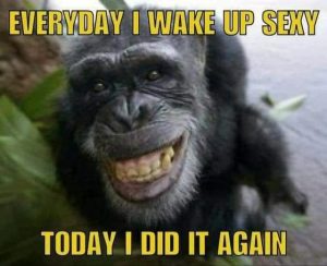 Stupid Bar Memes 18d6547d2dcc74c6