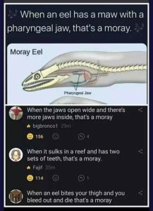 Stupid Bar Memes 19b133b6f05201fb