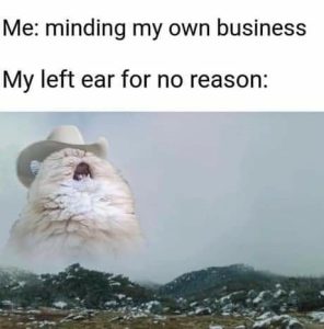 Stupid Bar Memes 1a06c277be422e0f