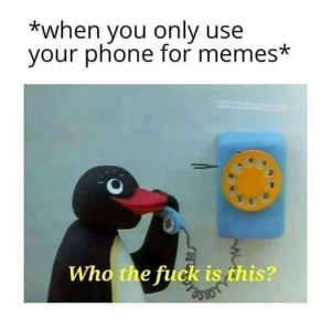 Stupid Bar Memes 1cc545b45b8599de