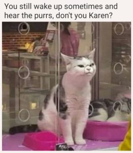 Stupid Bar Memes 248ea505d3d34f42