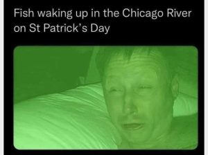 Stupid Bar Memes 25ac83cc03e23fd6