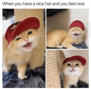 Stupid Bar Memes 25ea4acf3ecb5465