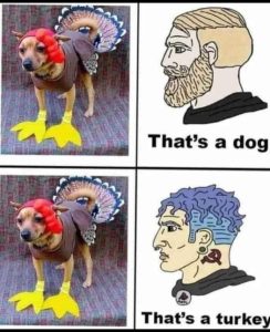 Stupid Bar Memes 264ca8c04a4d2b8c