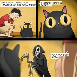 Stupid Bar Memes 273aa7e8ec217f32