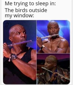 Stupid Bar Memes 2835e1a8d2cc4c6e
