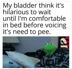 Stupid Bar Memes 283743d1410ce273