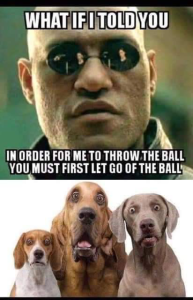 Stupid Bar Memes 2a54d25fc99e957e