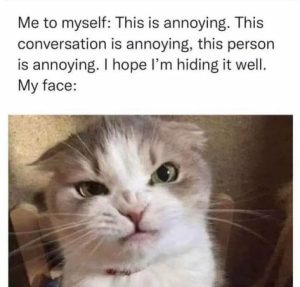 Stupid Bar Memes 2c223673ece169d9