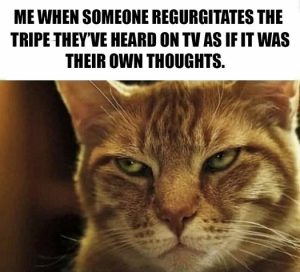 Stupid Bar Memes 2e102b9d50bed869