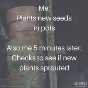 Stupid Bar Memes 2e76850cd3a4982d