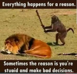 Stupid Bar Memes 325b6d65407550fc