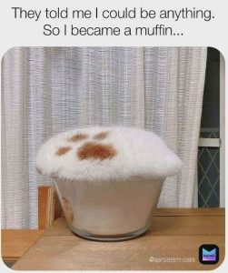 Stupid Bar Memes 355eba8ee4855327