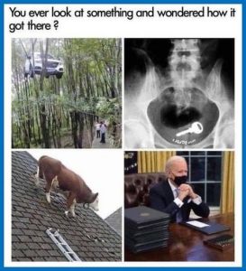 Stupid Bar Memes 36d1ec59e8a826ff