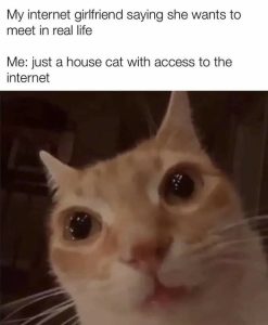 Stupid Bar Memes 3c3fe4415efc204d